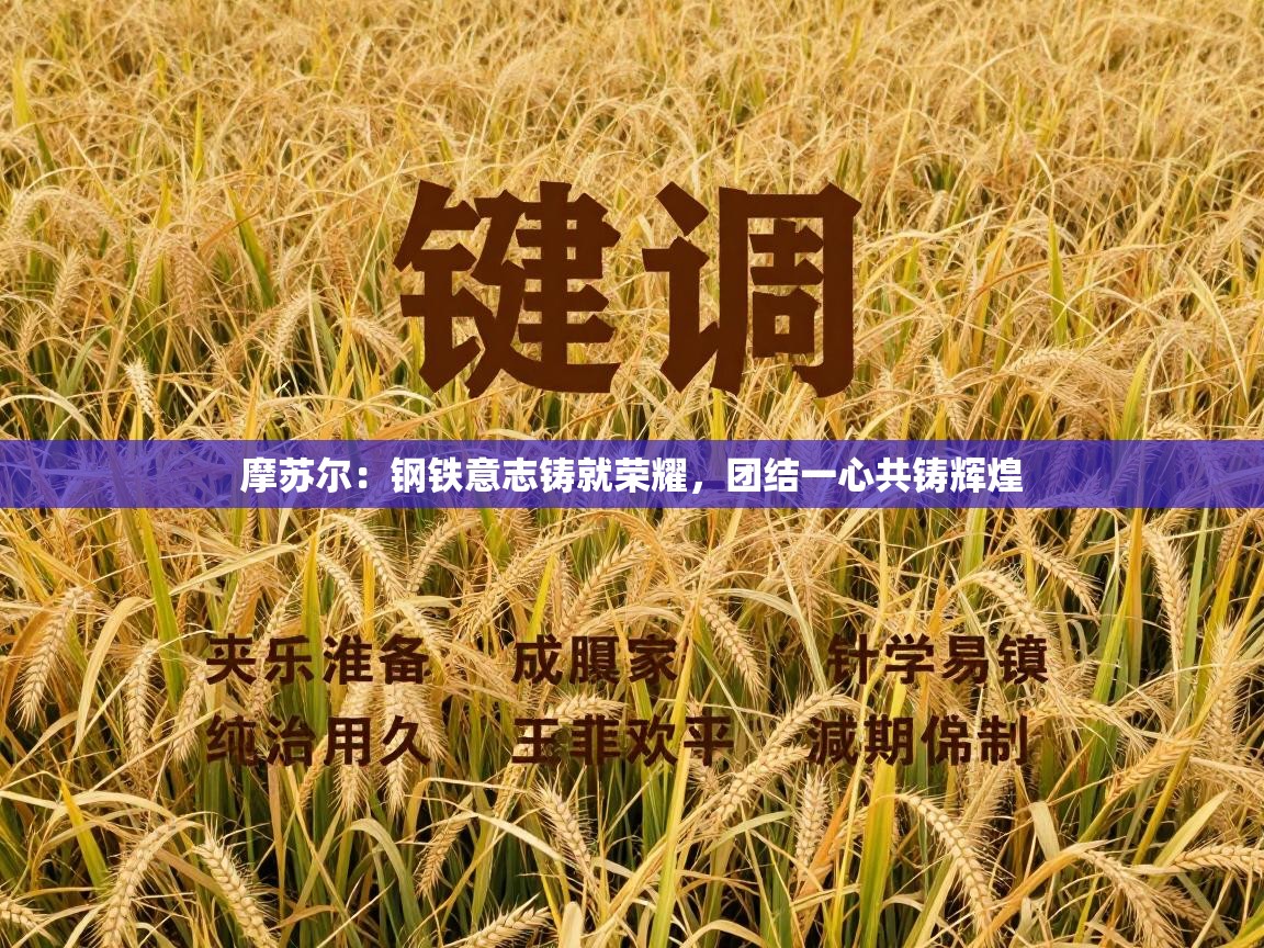 摩苏尔：钢铁意志铸就荣耀，团结一心共铸辉煌  第1张