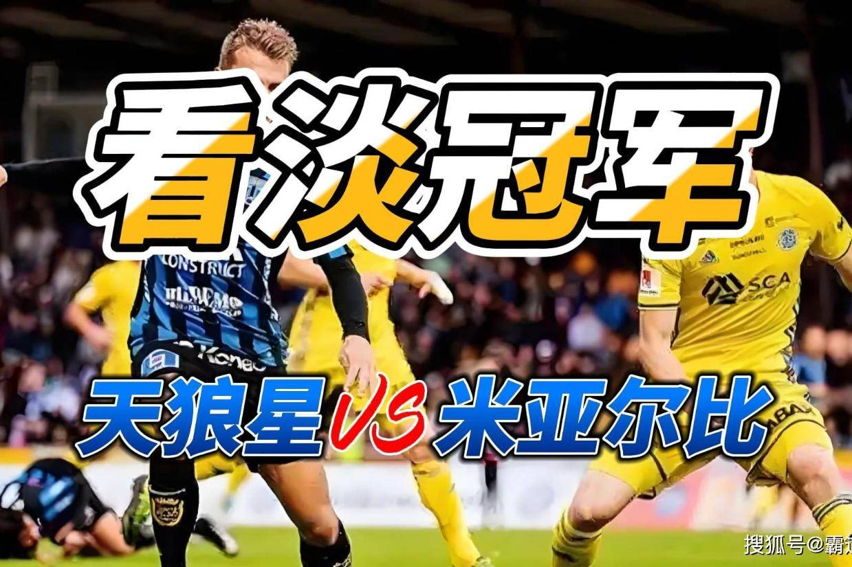 包含瑞典客场逼平阿尔巴尼亚，小组榜首位置不变的词条